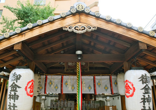 香港六合彩蛇生肖
