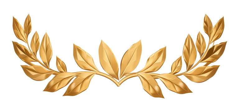 揭秘6合彩官方网站：探索彩票世界的智慧之门
